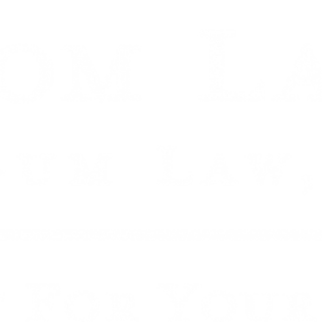 The Freedom Lawyers - Flugum Law, LLC. - Activities