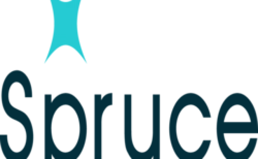 Spruce Services and Solutions