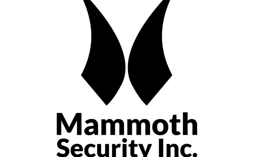 Mammoth Security Inc. New Britain - Skilled Trades
