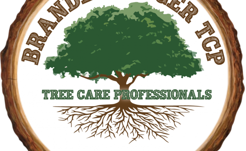Brandenberger Tree Care Professionals LLC
