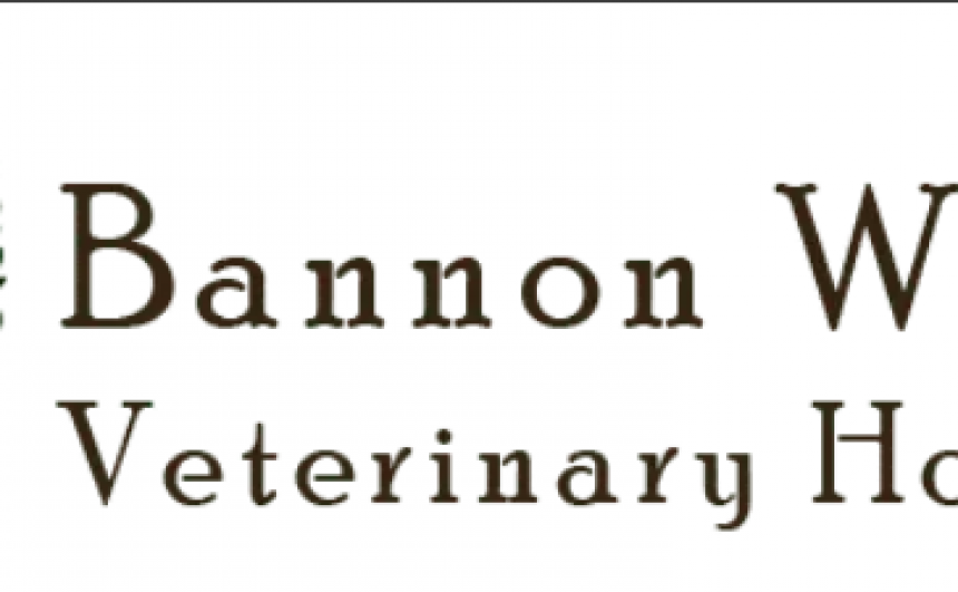 Bannon Woods Veterinary Hospital