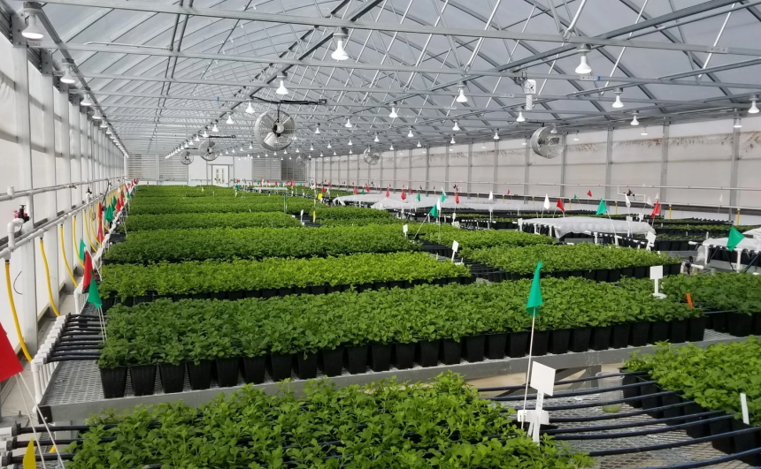 Greenhouse Design and Construction
