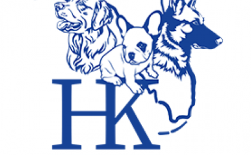 H.K. Dog Training