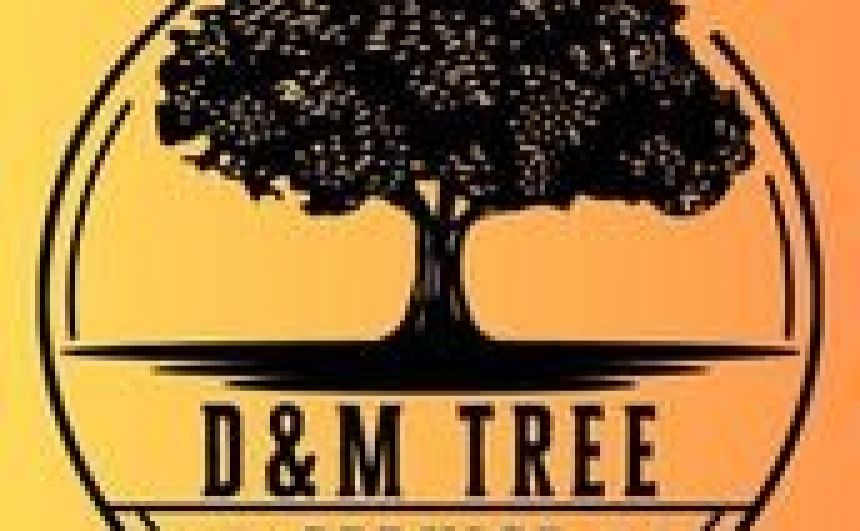 D&M Tree Service