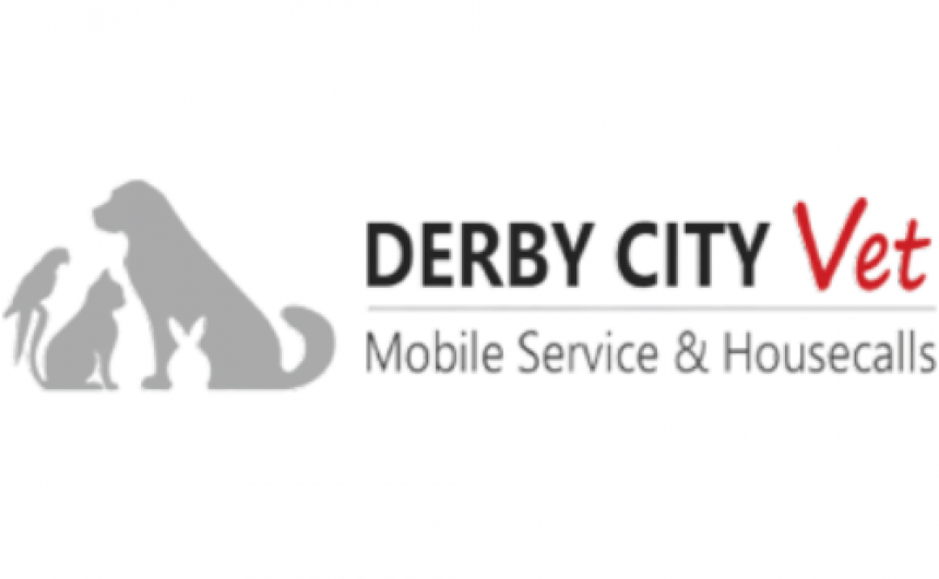 Derby City Veterinarian