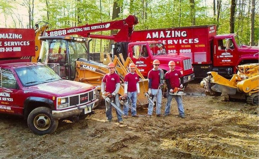 Commercial Tree Service in NJ