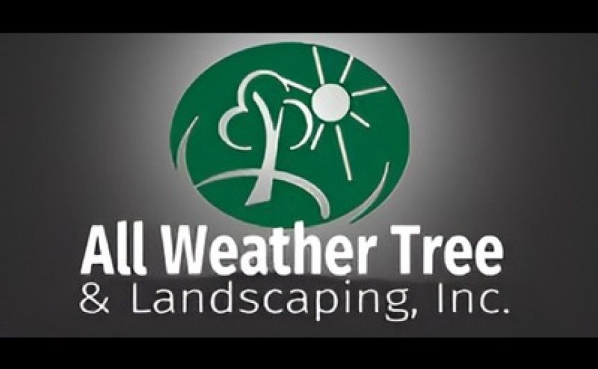 All Weather Tree and Landscaping Service, Inc