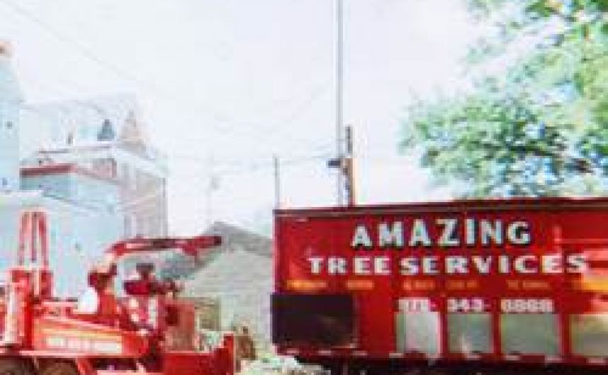 Tree Service Jobs in NJ - Amazing Tree Servic - Household Services