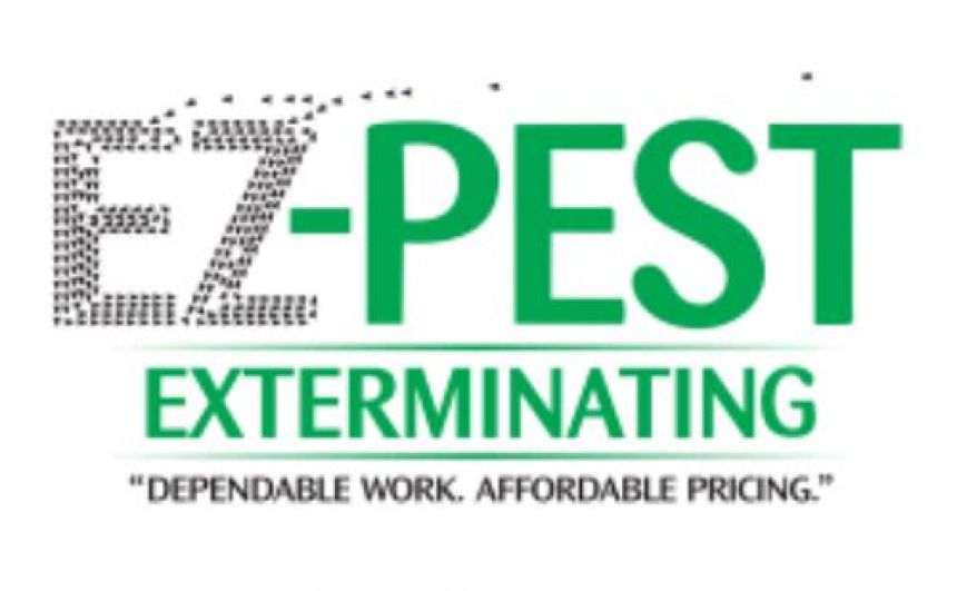 EZ Bed Bug Exterminator NYC