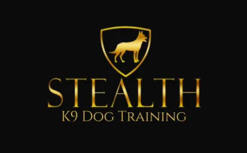 Stealth K9 Dog Training