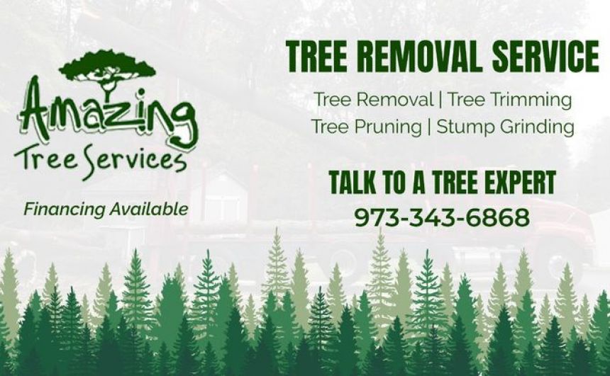 Lot Clearing NJ - Amazing Tree Services