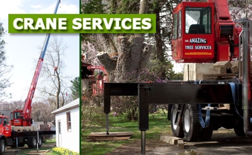 Crane Services in NJ - Amazing Tree Services