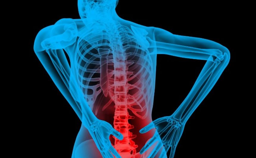 Rainier Chiropractic Accident And Injury - Health & Wellness
