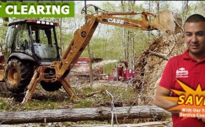 Land Clearing in NJ - Amazing Tree Services