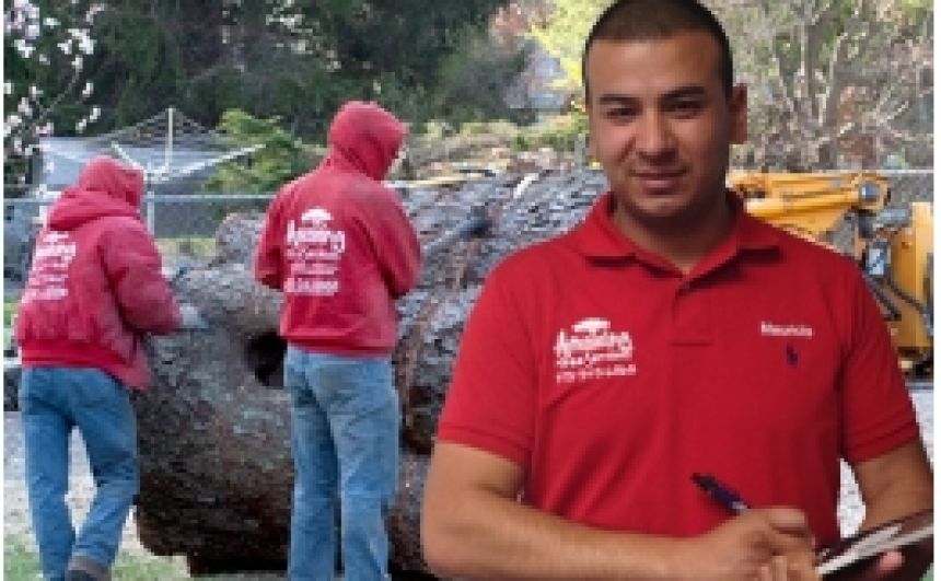 Commercial Tree Service in NJ