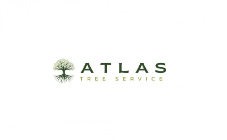 Atlas Tree Service | Austin