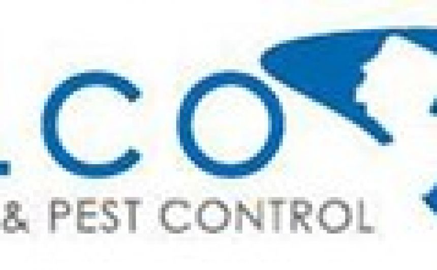 Stink Bug Control
