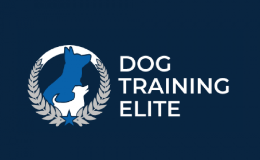 Dog Training Elite Savannah - Training & Lessons