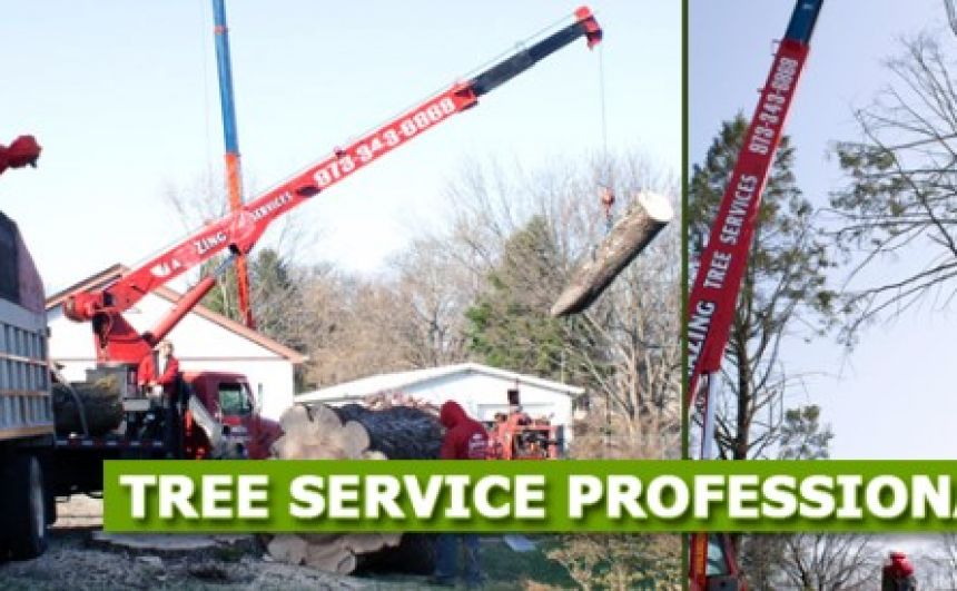 Tree Cutting Service in NJ