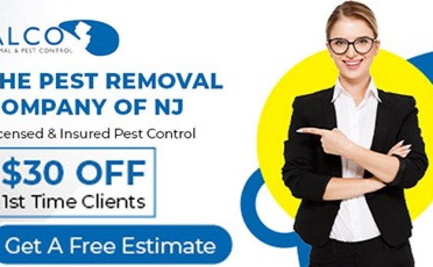 Wildlife Removal in Bergen County, NJ