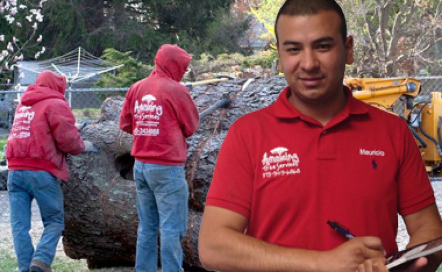 Professional Tree Service in Essex County, NJ