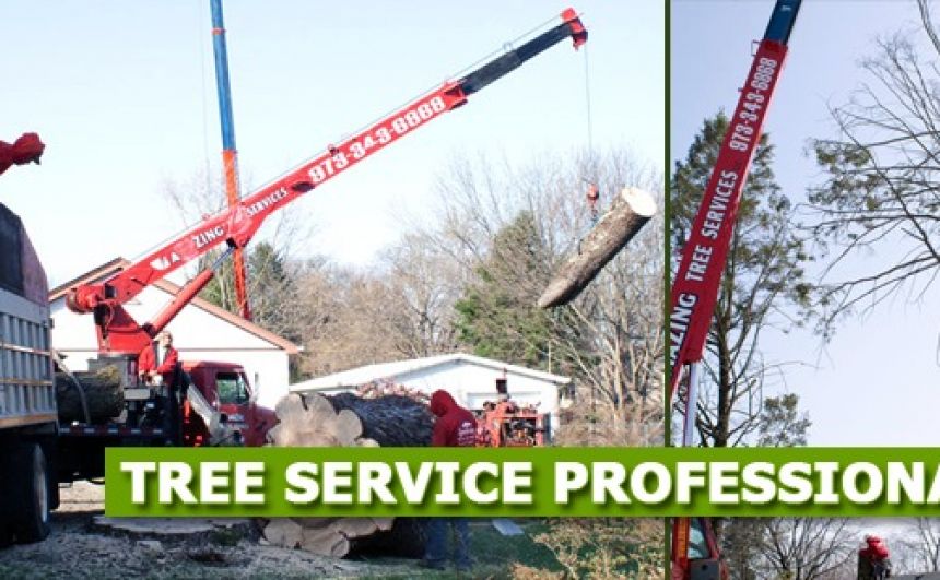 Fallen Tree Removal Cost