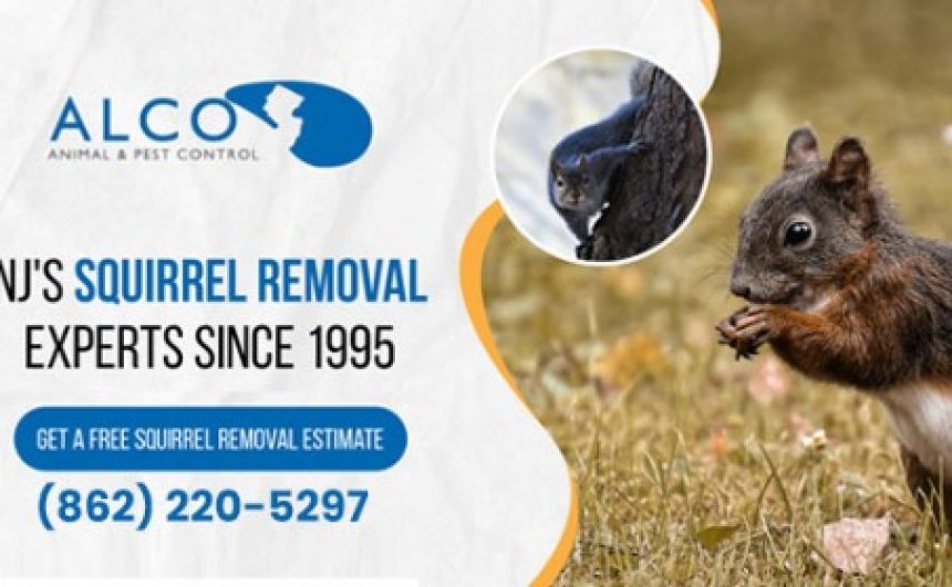 Pest Removal in North NJ - ALCO Animal & Pest