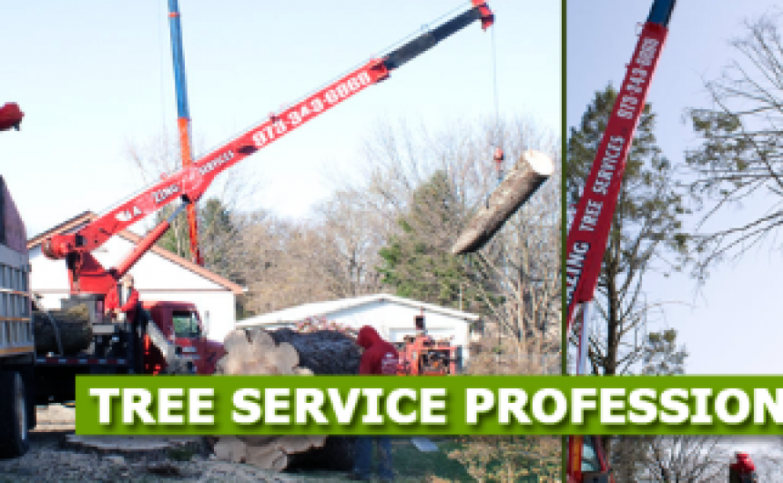 Tree Removal NJ