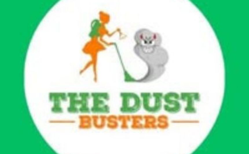 The Dust Busters Cleaning Company LLC - Household Services