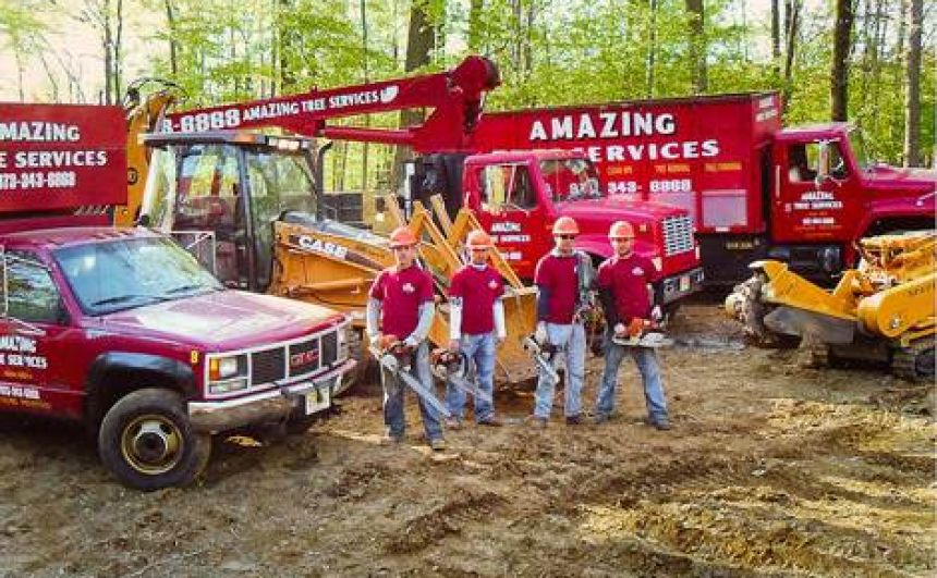 Reliable Commercial Tree Services in NJ