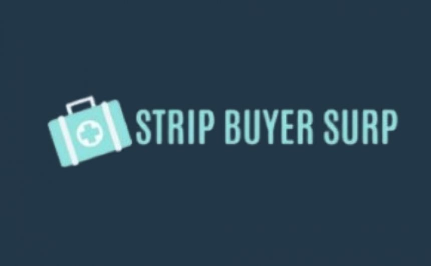 Strip Buyer Surplus - Household Services