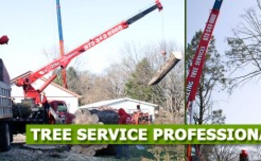 Tree Lopping NJ